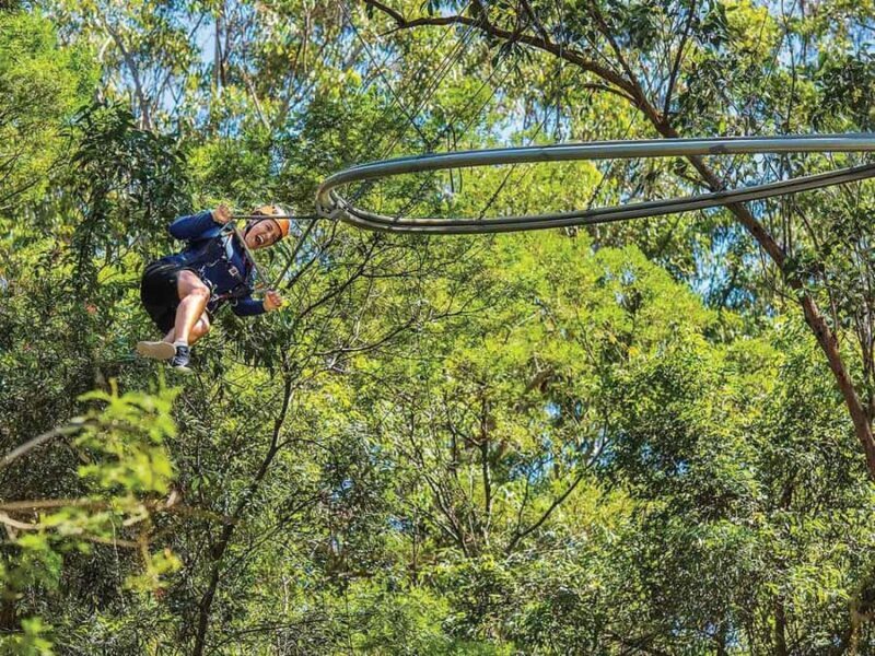 Ourimbah: Central Coast Zipcoaster - What to Expect from the Ourimbah Zipcoaster Experience