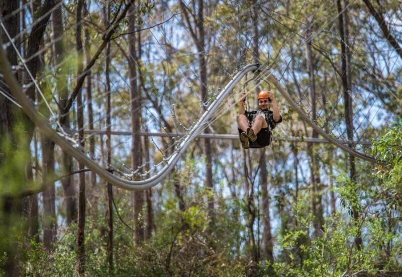 Ourimbah: Central Coast Zipcoaster - The Thrills and the View