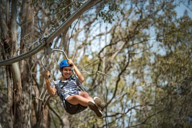 Ourimbah: Central Coast Zipcoaster - Who Should Try the Zipcoaster?