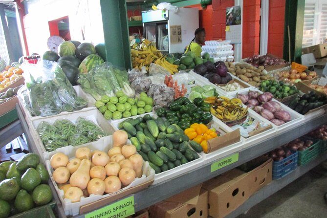 Outback Antigua Tour - Exploring the Outback Antigua Tour: An Authentic Taste of the Island