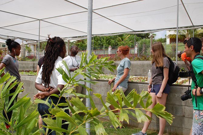 Outback Antigua Tour - Final Thoughts: Who Is This Tour Best For?