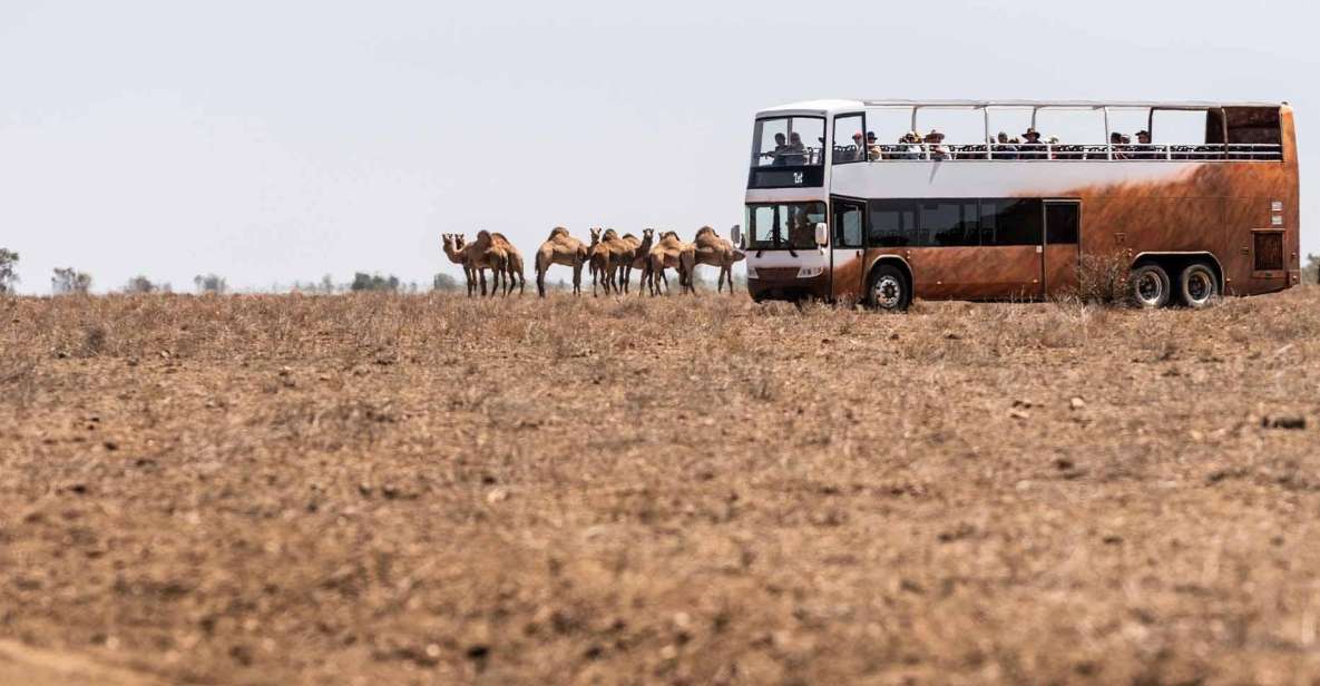 Outback Queensland: Unleashing Longreach Holiday 6-days - Recap