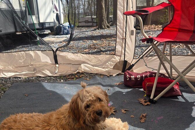 Outdoor Cooking Class Activity with Customizable Recipes - Final thoughts: Is it worth it?