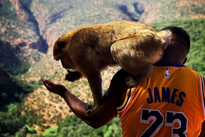 Ouzoud Waterfalls Full Day Trip From Marrakech - What to Bring for the Trip