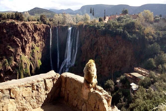 Ouzoud Waterfalls Full Day Trip From Marrakech - Booking and Cancellation Policies