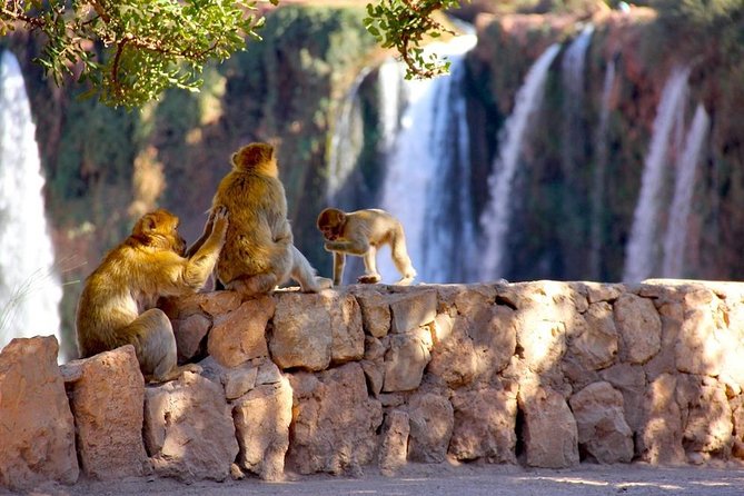 Ouzoud Waterfalls Tour From Marrakech In Group - Booking and Cancellation Policy