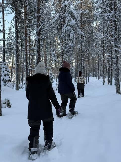 Överkalix: Full-Day Snowshoeing Tour with Outdoor Lunch - Key Points