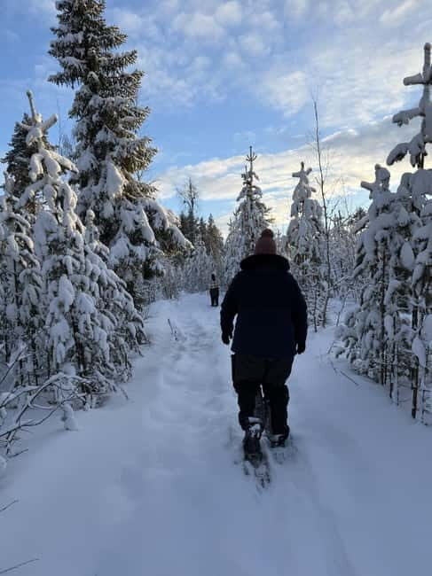 Överkalix: Full-Day Snowshoeing Tour with Outdoor Lunch - The Outdoor Lunch: A Swedish Tradition