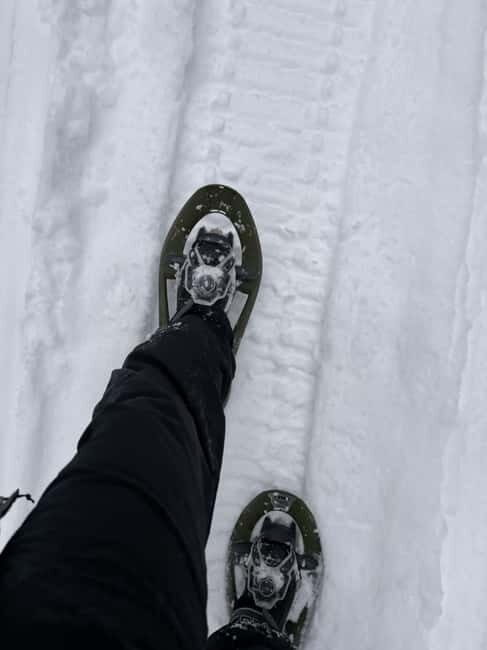 Överkalix: Full-Day Snowshoeing Tour with Outdoor Lunch - What’s Included and What to Prepare