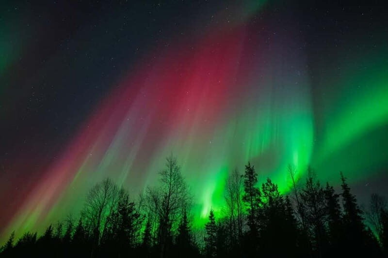 Överkalix: Snowmobile Night Tour with Northern Lights - Key Points