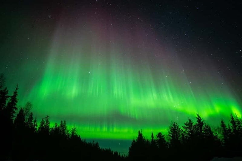 Överkalix: Snowmobile Night Tour with Northern Lights - Discovering the Nighttime Snowmobile Experience in Överkalix