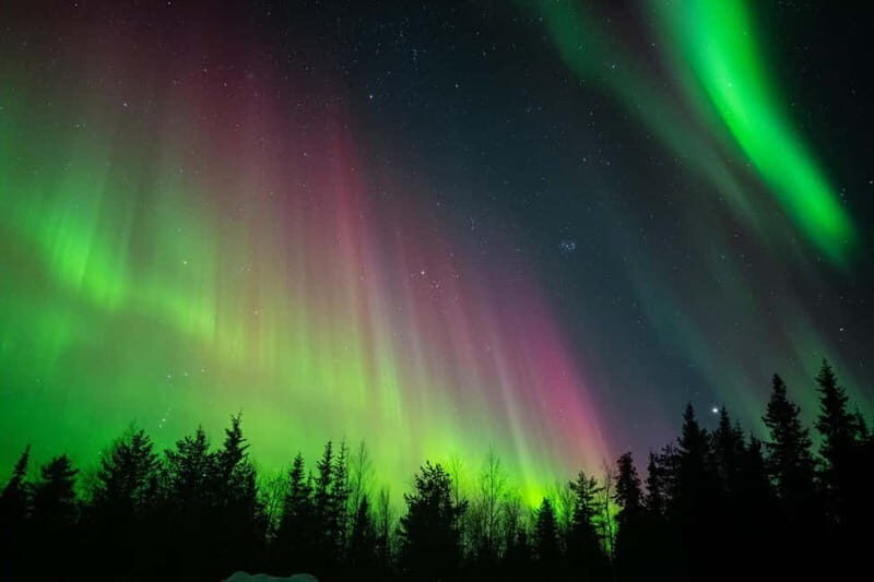 Överkalix: Snowmobile Night Tour with Northern Lights - The Sum Up