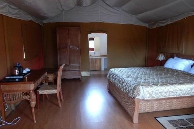 Overnight Amboseli National Park Safari From Nairobi - Customer Experiences and Reviews