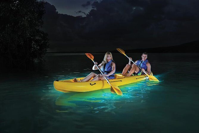 Overnight Bio Bay Kayak Tour in Vieques Island - Exploring the Bio Bay Experience in Detail