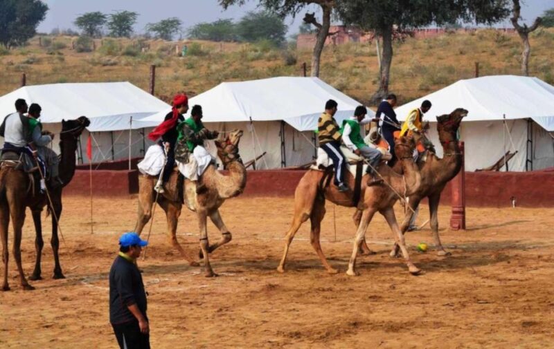 Overnight Camping With Camel Safari From Jodhpur - Accommodation Options