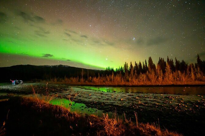 Overnight Denali National Park plus Aurora Chase Tour - An In-Depth Look at the Tour Experience