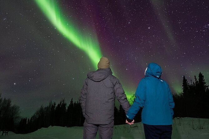 Overnight Denali National Park plus Aurora Chase Tour - The Sum Up: Is This Tour Right for You?