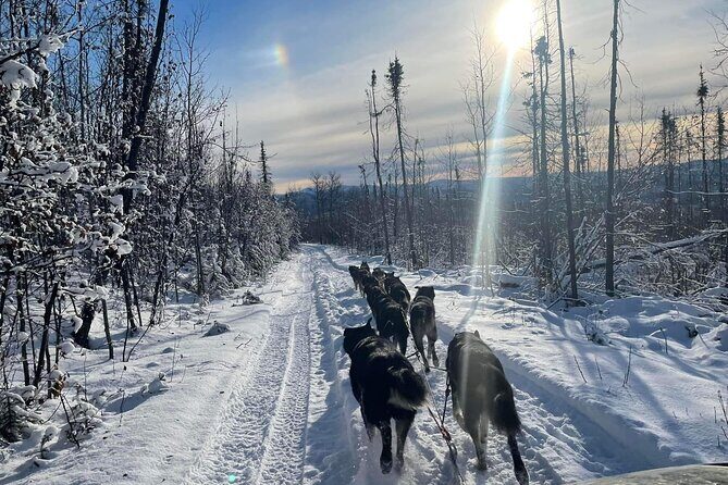 Overnight Dog Sledding Adventure - What’s Included and What’s Not