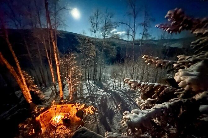 Overnight Dog Sledding Adventure - Who Will Love This Tour?