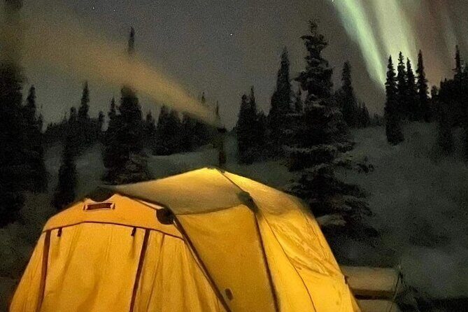 Overnight Dog Sledding Adventure - Practical Tips for Your Trip