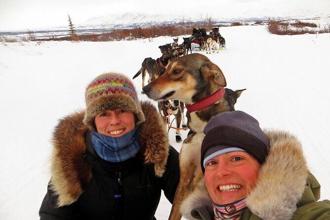 Overnight Dog Sledding Adventure - Final thoughts