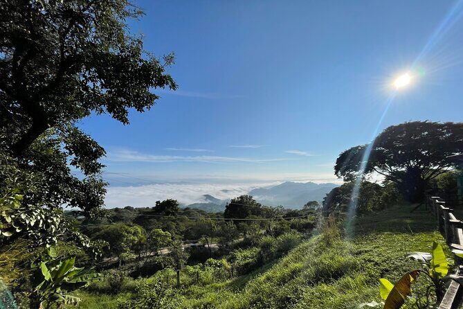 Overnight Expedition to Palenque: Waterfalls, Ruins & Jungle Stay - In-Depth Look at Logistics and Value