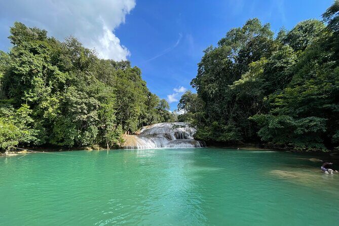 Overnight Expedition to Palenque: Waterfalls, Ruins & Jungle Stay - Final Thoughts: Who Should Consider This Tour?