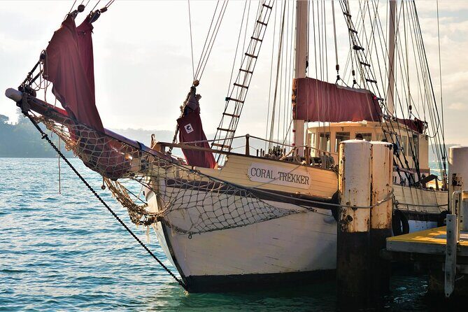 Overnight Harbour Cruise Experience - Analyzing the Experience: Setting Expectations and What You’ll Love