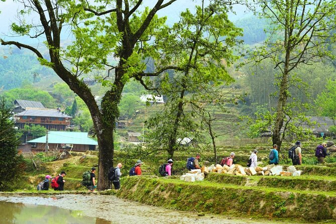 Overnight Homestay in Sapa 2 Days 1 Night - Daily Itinerary