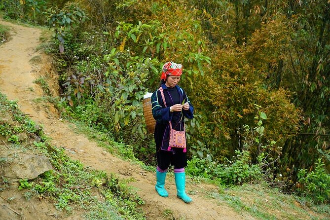 Overnight Homestay in Sapa 2 Days 1 Night - Health and Safety Considerations