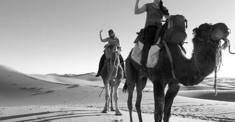 Overnight in Camp With Camel Ride, Meals & Sandboarding - Inclusions and Exclusions
