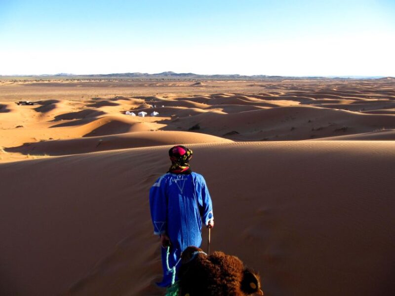 Overnight in Camp With Camel Ride, Meals & Sandboarding - Customer Feedback and Reviews