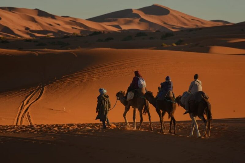 Overnight in Luxury Tent in Desert Camp Erg Chebbi Merzouga - Detailed Itinerary