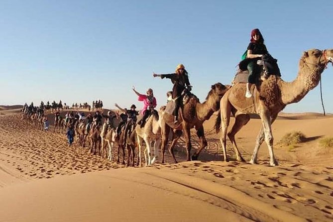 Overnight Luxury Desert Trip Form Fez To Fez - Transportation and Logistics