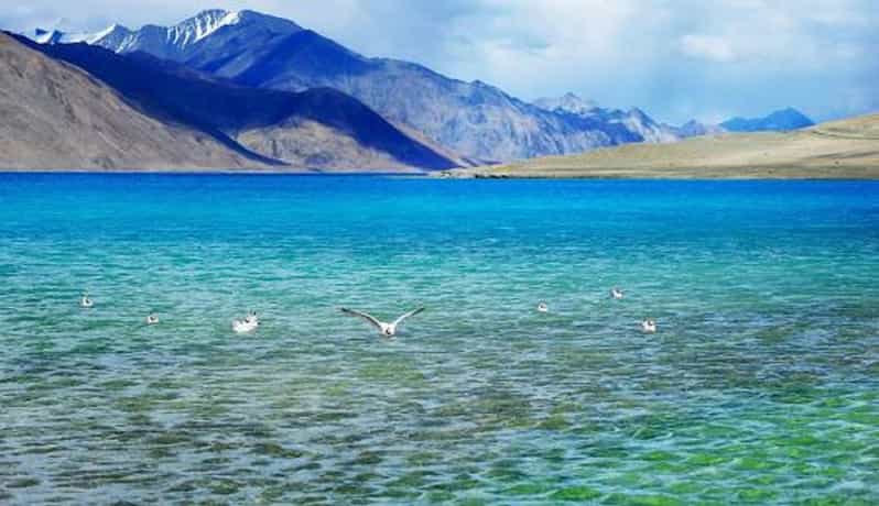 Overnight Pangong Tour From Leh & Thikse , Hemis Monasteries - Transportation Options