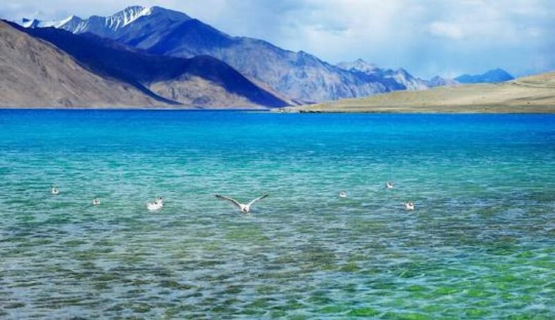 Overnight Pangong Tour From Leh & Thikse , Hemis Monasteries - Included Amenities