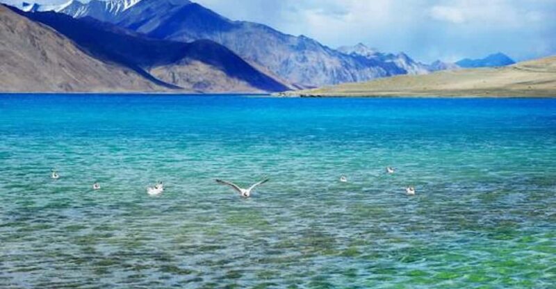 Overnight Pangong Tour From Leh & Thikse , Hemis Monasteries - Traveler Experiences