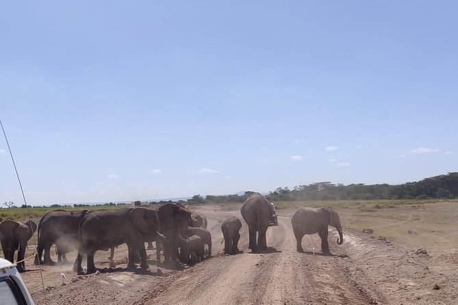 Overnight Safari to Amboseli National Park - Itinerary Highlights