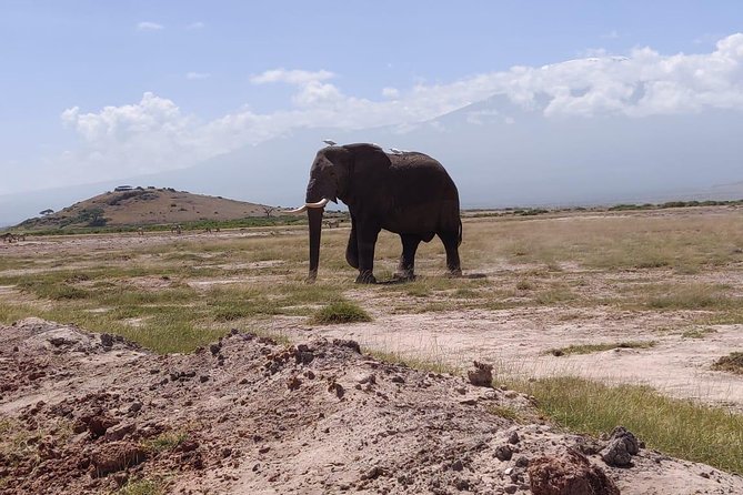 Overnight Safari to Amboseli National Park - Accommodation Details