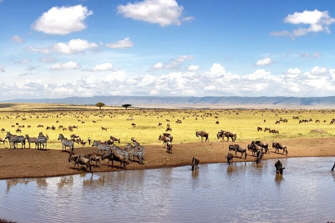 Overnight Safari To Maasai Mara - Game Drives and Wildlife Viewing