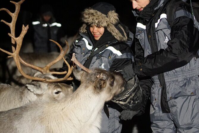 Overnight Stay in Lavvu and Reindeer Feeding - What to Expect: An In-Depth Look at the Tour