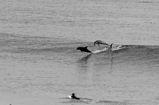 Overnight Tweed Coast Camping and Surfing Getaway From The Gold Coast - Who Will Love This Tour?