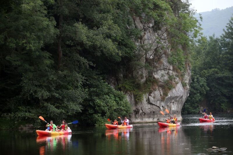 Oviedo: Canoe Descent on the Nalón River - Who Is This Tour Best For?