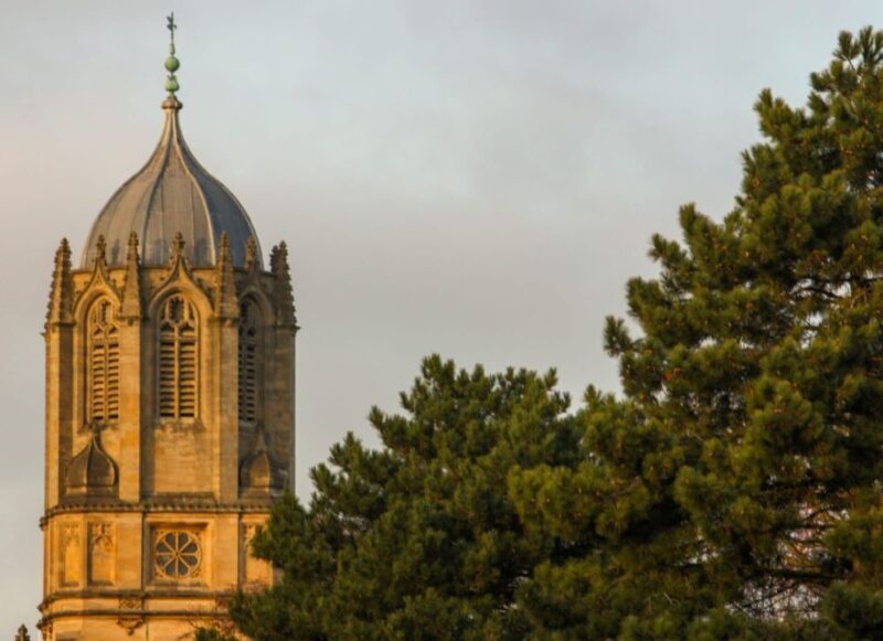 Oxford: Alumni-Led Walking & Punting Tour w/opt New College - An Overview of the Tour Experience