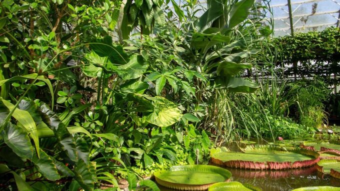 Oxford: Botanic Garden Entry Ticket - Relevant Visitor Information