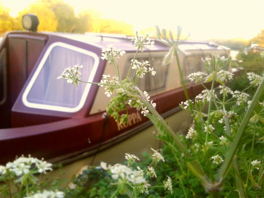 Oxford: River Cruise and Walking Tour to Iffley Village - Walking Tour Highlights