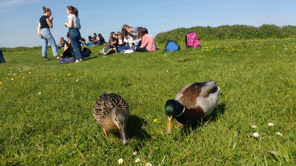 Oxford: River Cruise and Walking Tour to Iffley Village - Accessibility Options