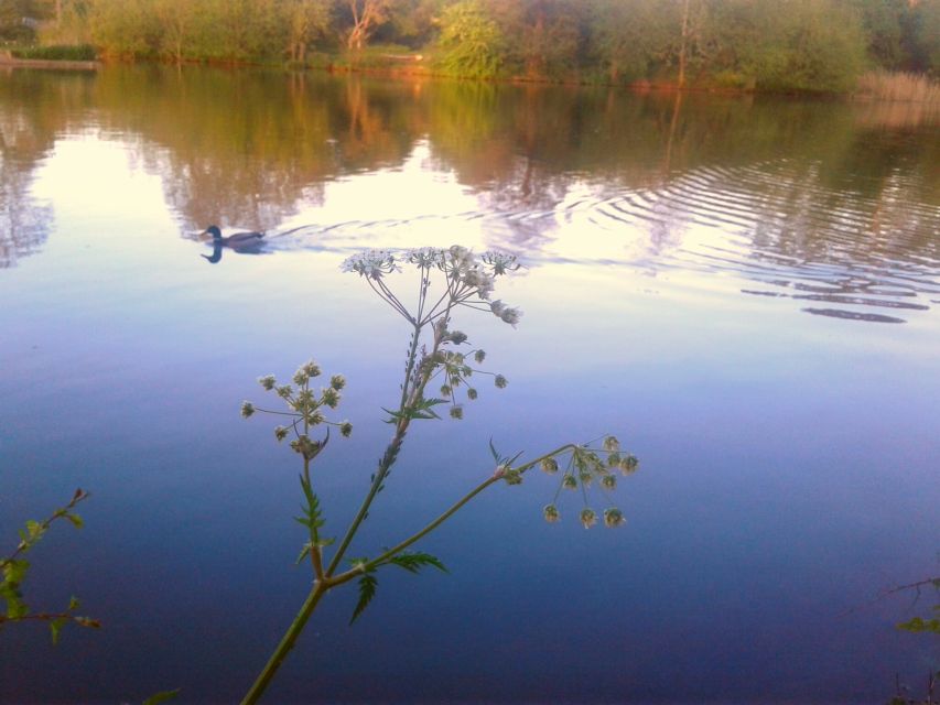 Oxford: River Cruise and Walking Tour to Iffley Village - Frequently Asked Questions