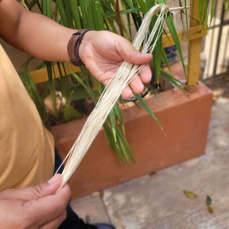 Oxkintok ancient Puuc + Becal Jipi Japa artisan + Cenote - Key Points