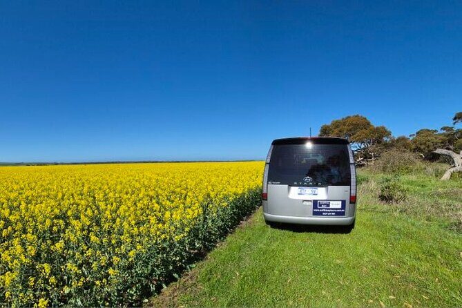 Oyster Adventure in Coffin Bay (Coffin Bay Pick Up) - Key Points